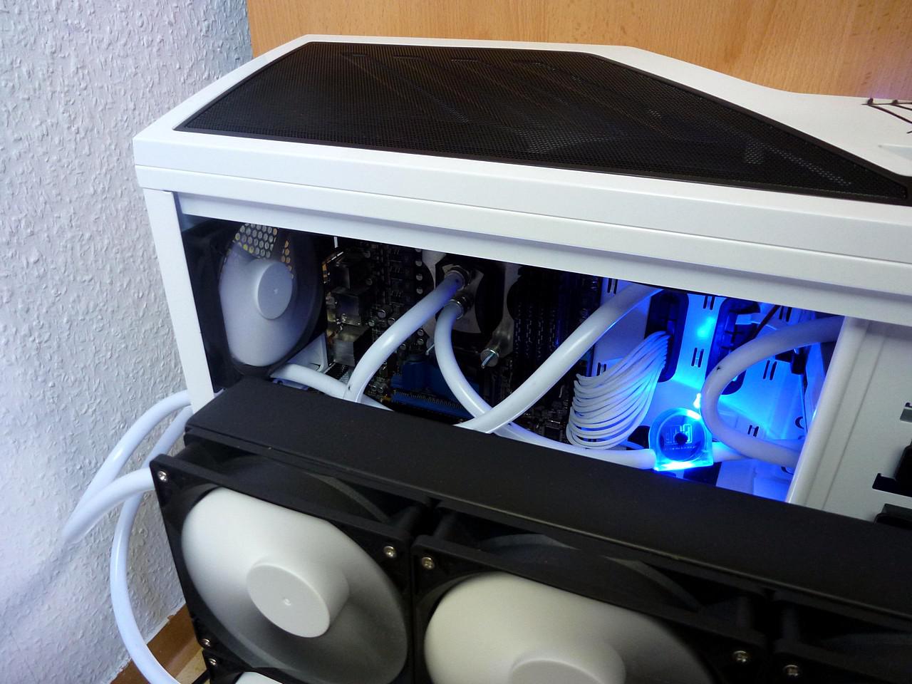 [17/06/2011] Pfui Spinne: Casemod mit vielen Krabbeltieren (20)