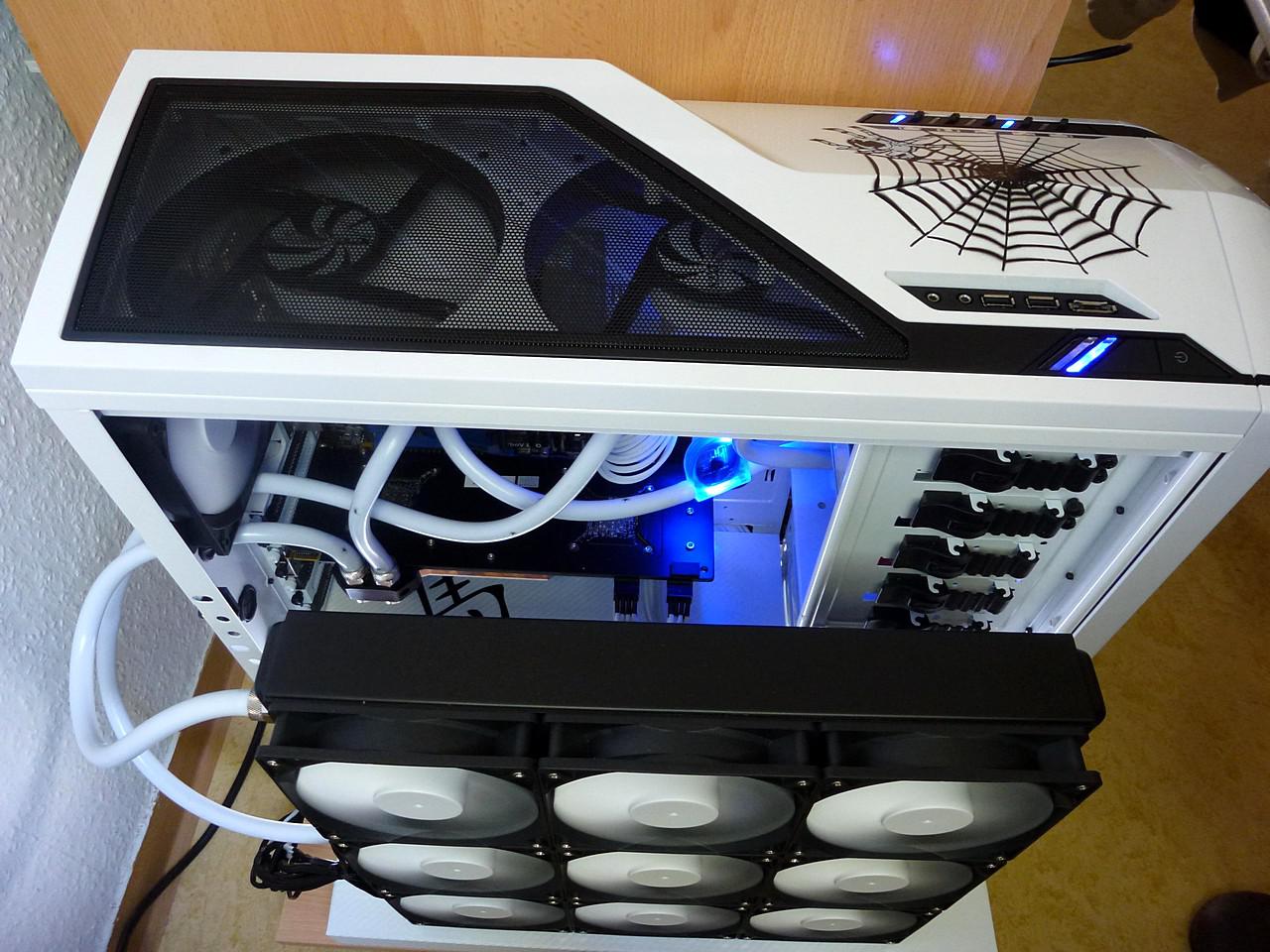 [17/06/2011] Pfui Spinne: Casemod mit vielen Krabbeltieren (21)