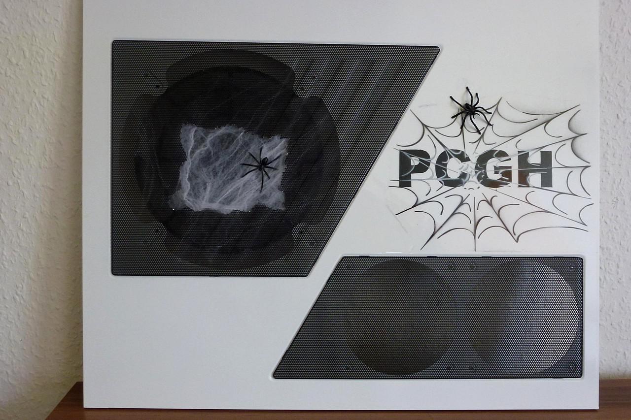 [17/06/2011] Pfui Spinne: Casemod mit vielen Krabbeltieren (40)