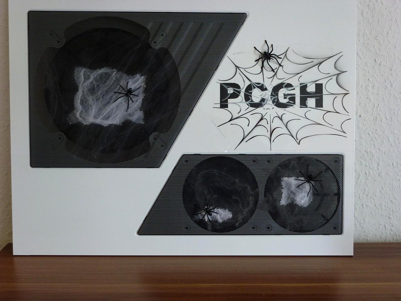 [17/06/2011] Pfui Spinne: Casemod mit vielen Krabbeltieren (45)