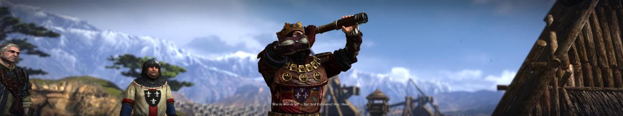[24/06/2011] The Witcher 2 by -Lucky+Devil- (5)