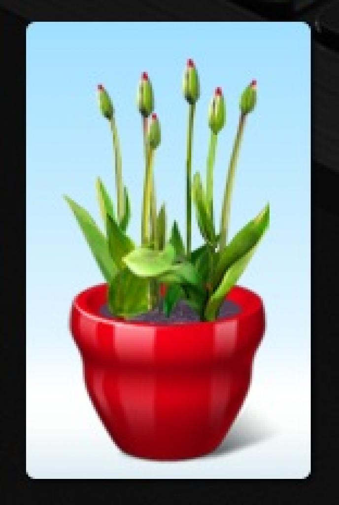[22/07/2011] 6. Virtueller Blumentopf: Mit 