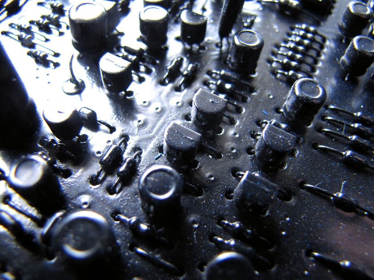 [01/07/2011] Tolles Casemod-Debüt mit Löwe und Frosch als Fail-Tiere, Stereoanlagen-Modding und mehr (42)