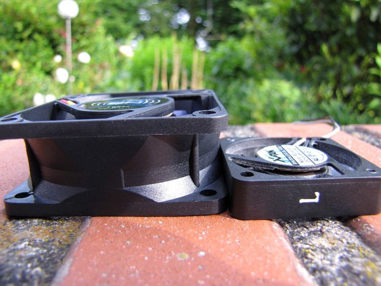 [01/07/2011] Tolles Casemod-Debüt mit Löwe und Frosch als Fail-Tiere, Stereoanlagen-Modding und mehr (65)