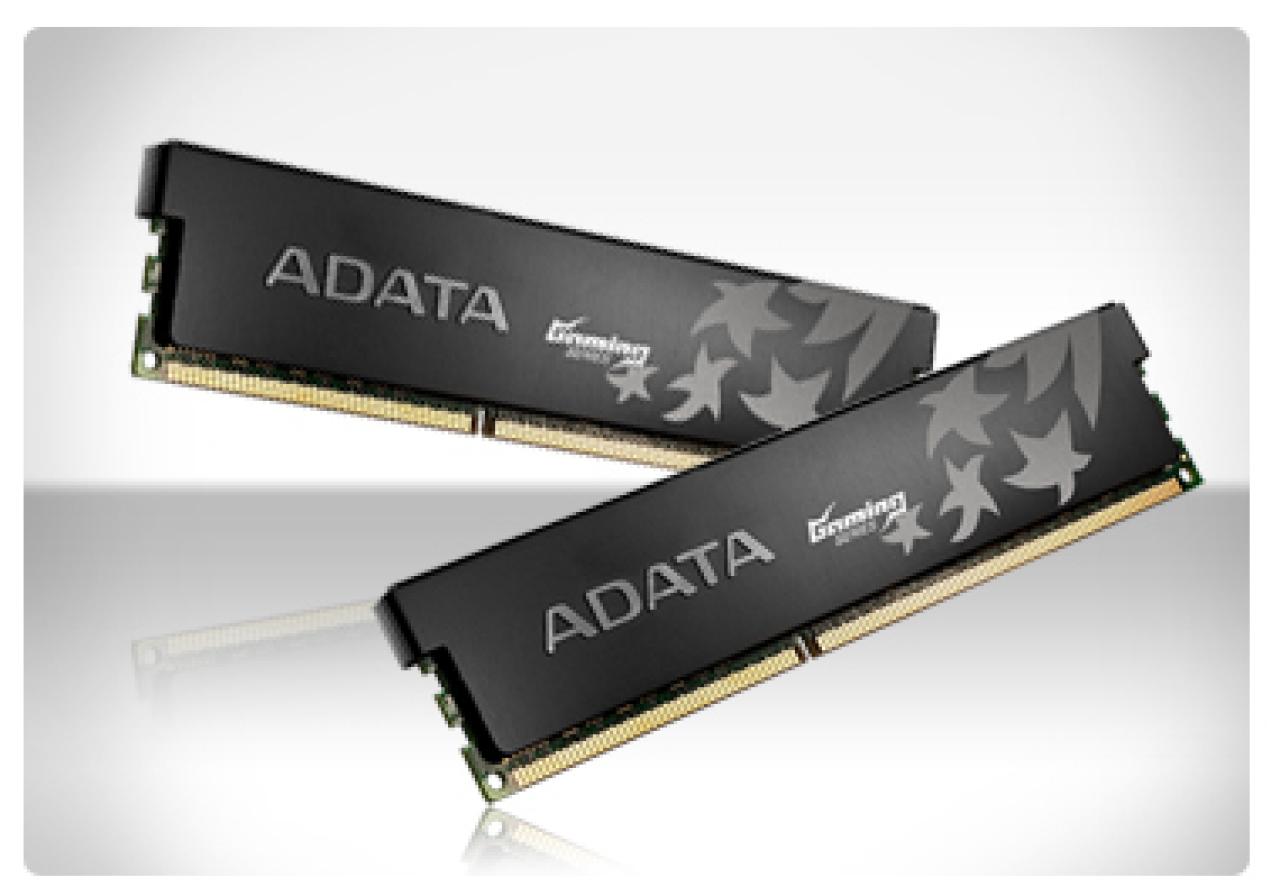 [08/07/2011] XPG Gaming DDR3L 1333G (03)