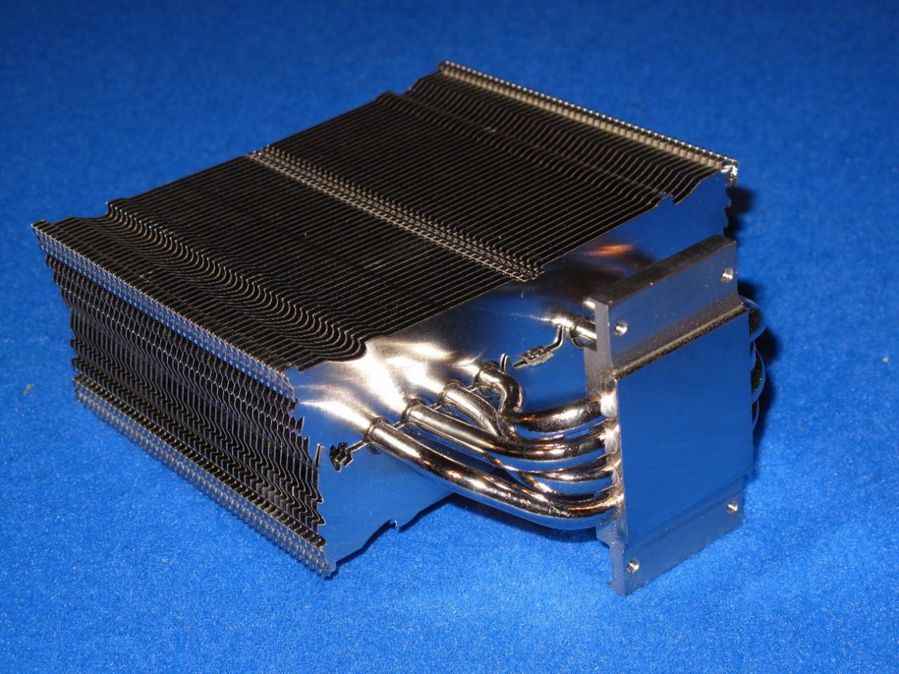 [20/08/2011] Prolimatech Panther (5)