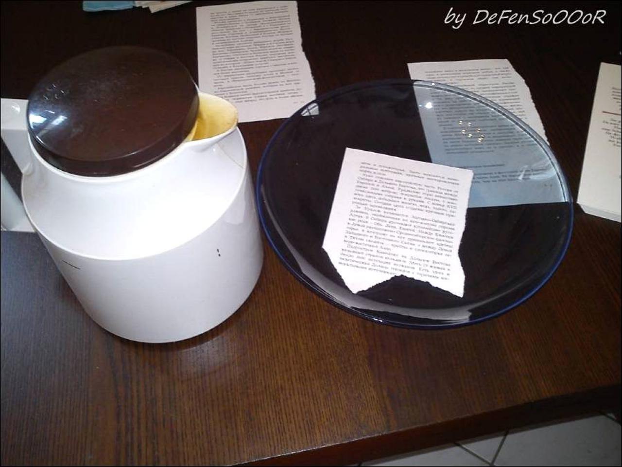 [12/08/2011] Update: Optische Alterung durch Kaffee, Joghurt mit Fell (152)