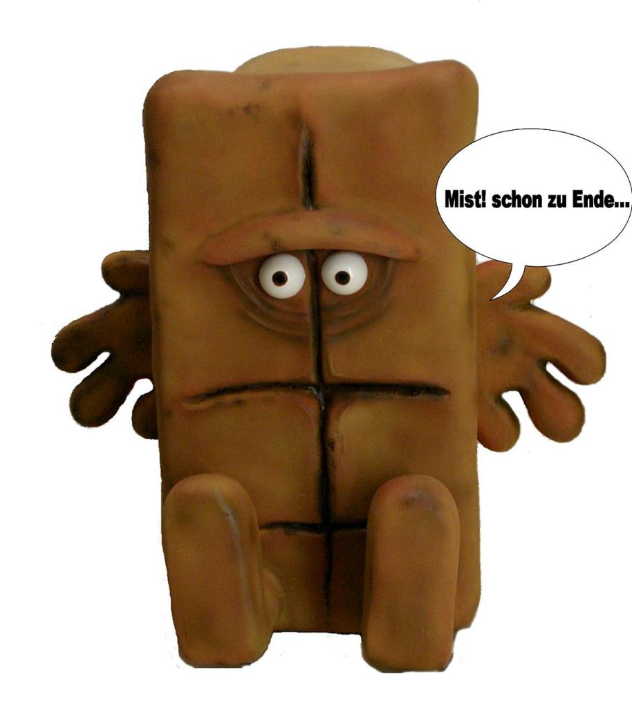 [05/08/2011] Der wohl rechenstärkste Brotkasten der Welt: Wenn das Gehäuse wie ein TV-Star aussieht (34)