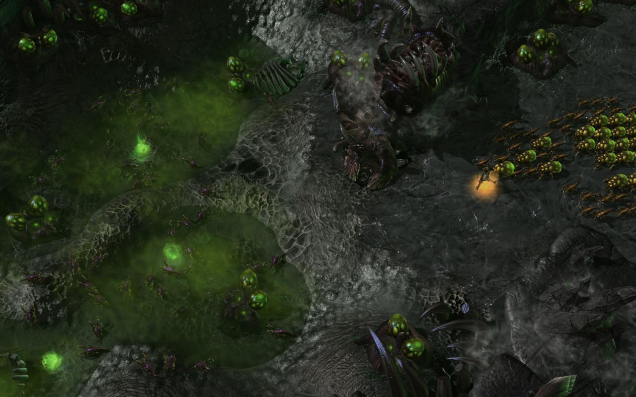 [18/08/2011] Starcraft 2 Heart of the Swarm im Hands-on-Test auf der Gamescom (7)