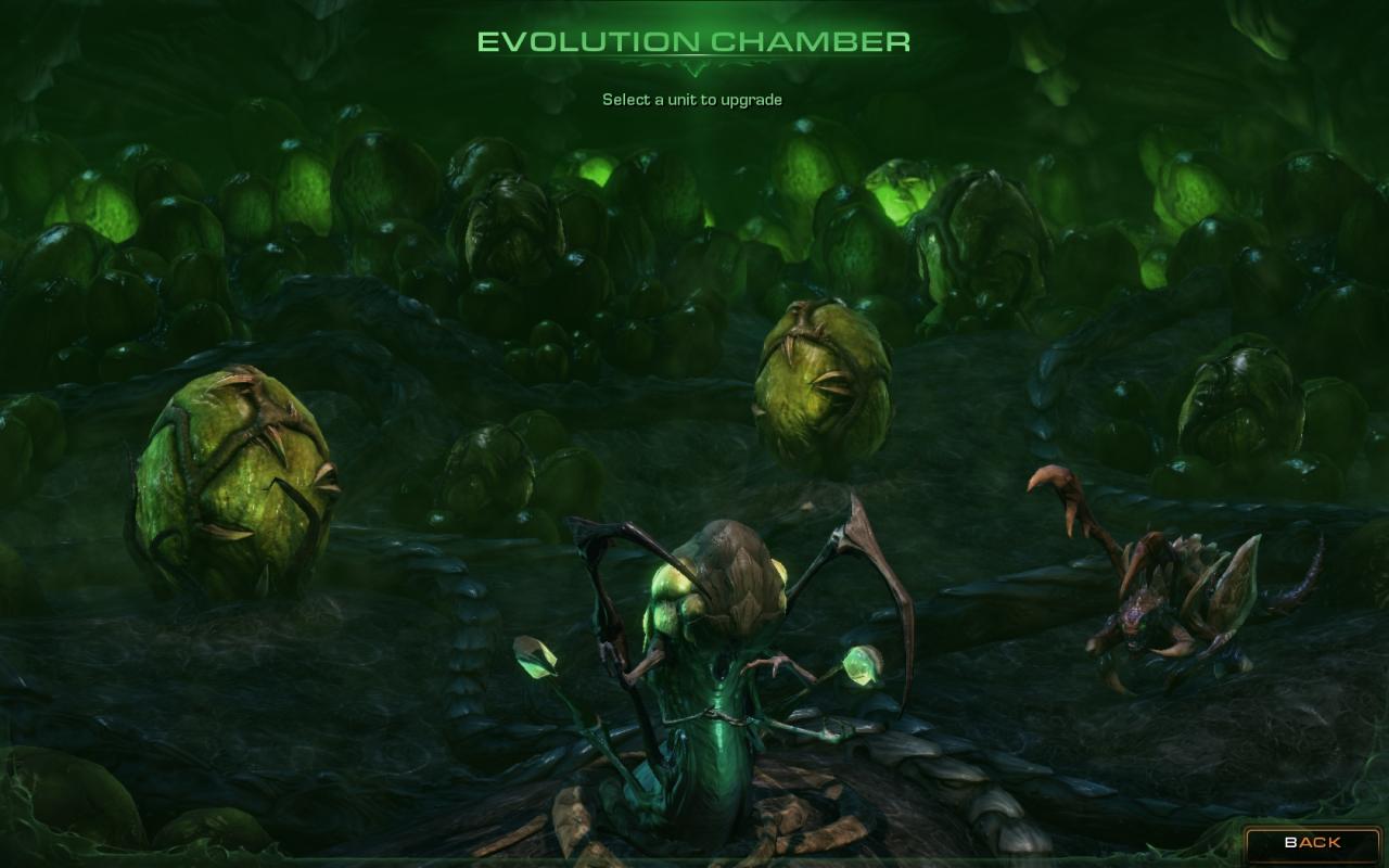 [18/08/2011] Starcraft 2 Heart of the Swarm im Hands-on-Test auf der Gamescom (13)