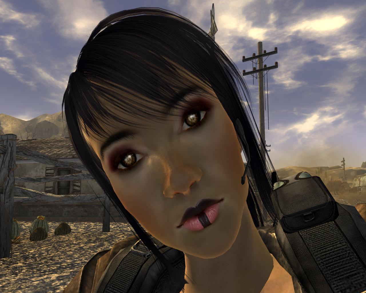 [22/09/2011] Mods für Fallout 3 - Download