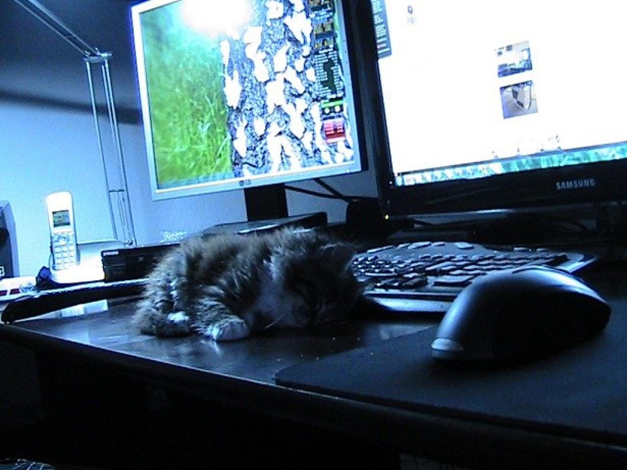 [14/09/2011] Die Schreibtisch der PCGHX-Community: Update vom 15.9. (1)