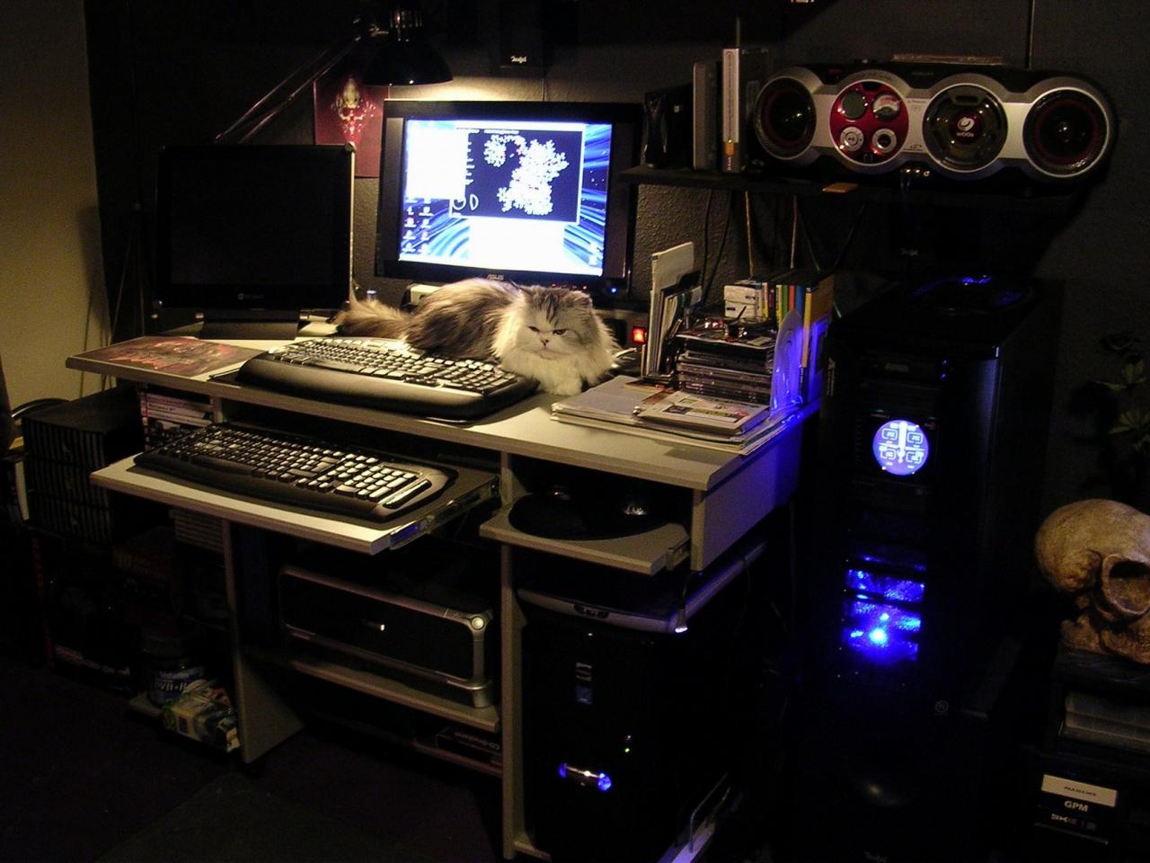 [14/09/2011] Die Schreibtisch der PCGHX-Community: Update vom 15.9. (2)