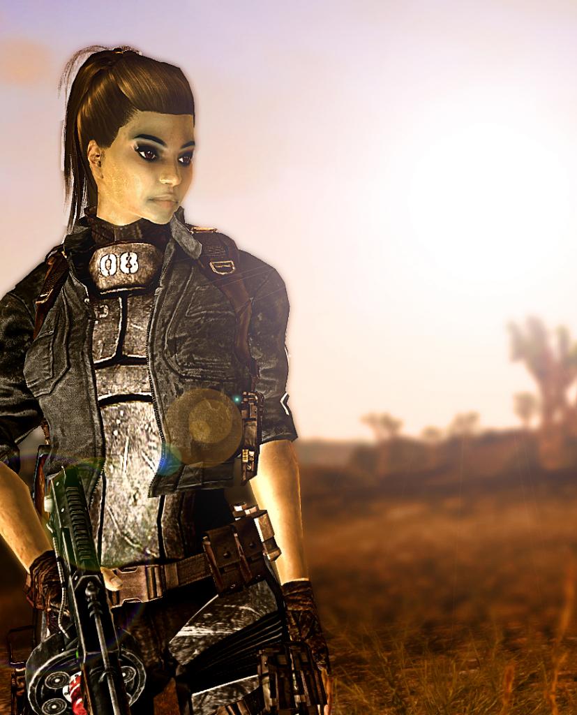 [22/09/2011] Mods für Fallout New Vegas - Mit diesem Mod wird die Riot-Rüstung für weibliche Charaktere etwas figurbetonter. Sieht einfach noch besser aus. Download