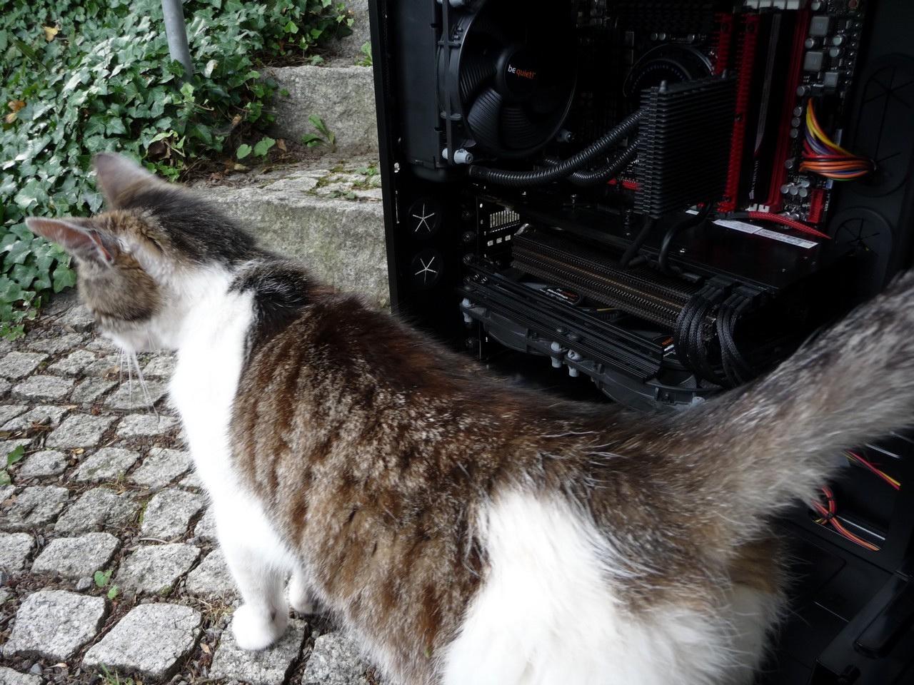 [19/09/2011] PCs im Industrie-Look, von Eis umhüllt und mit Kirmes-Beleuchtung (246)