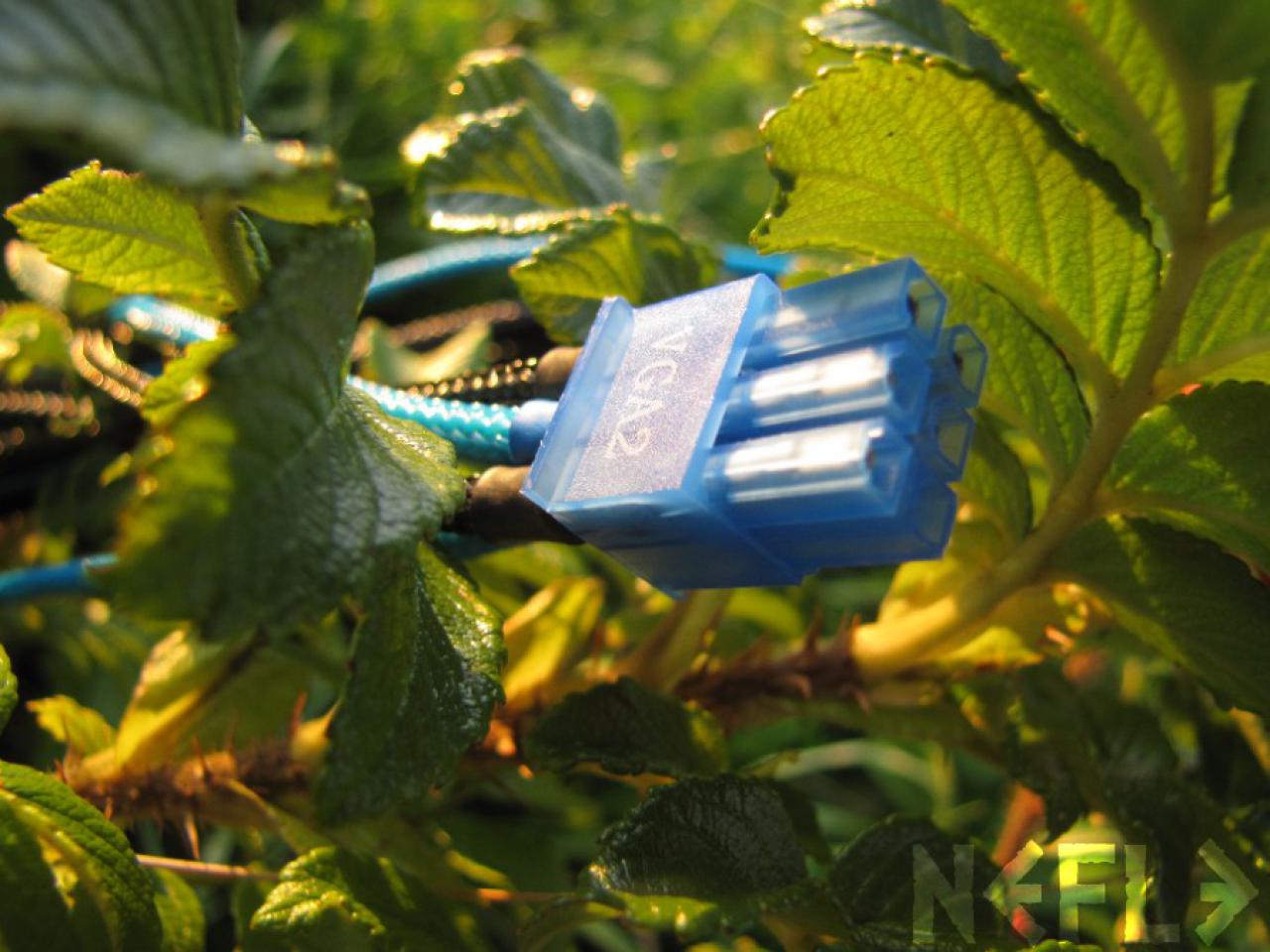 [07/09/2011] Update vom 07.09.: Tolles Casemod-Debüt mit Löwe und Frosch als Fail-Tiere (37)