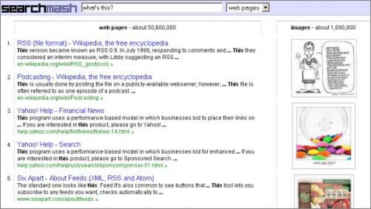 [18/10/2011] Google Searchmash - die gleichzeitige Bilder- und Websuche schloss Ende 2008 die Tore.
