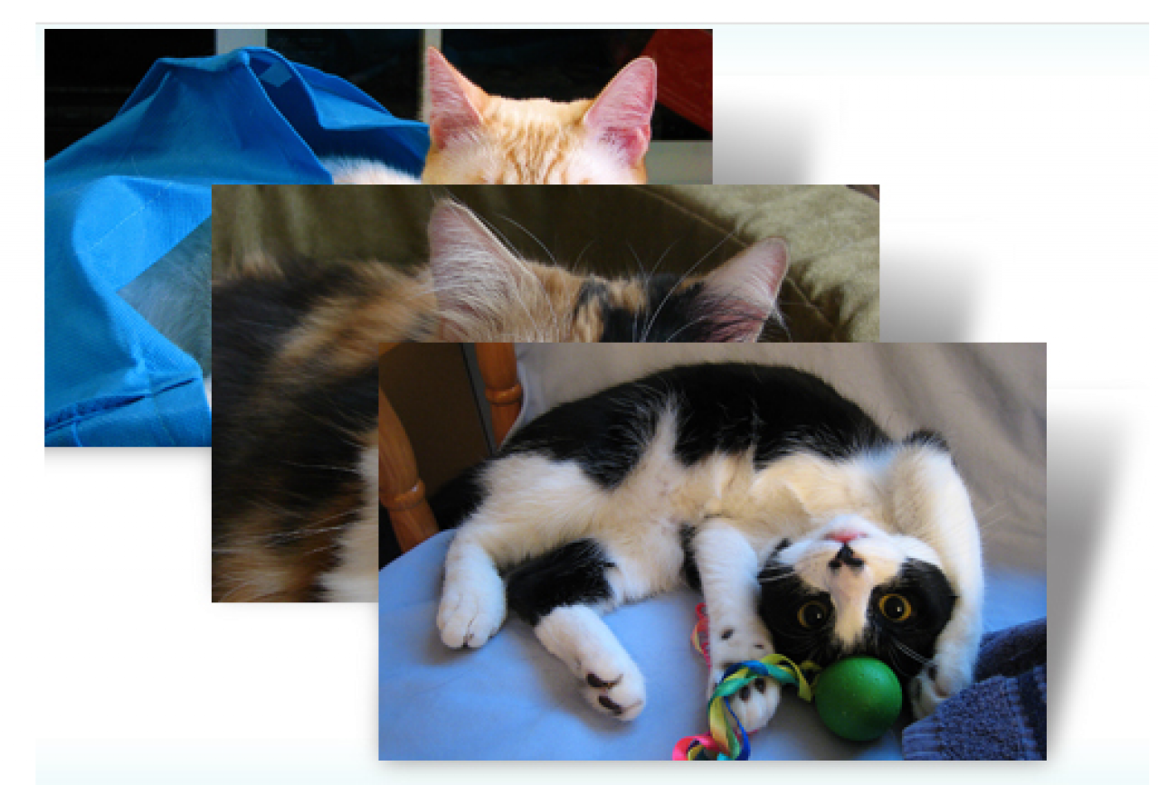[13/10/2011] Sweet Kitty: Mit diesem Theme können Männer ich gefühlvolle Seite ausdrücken. Download