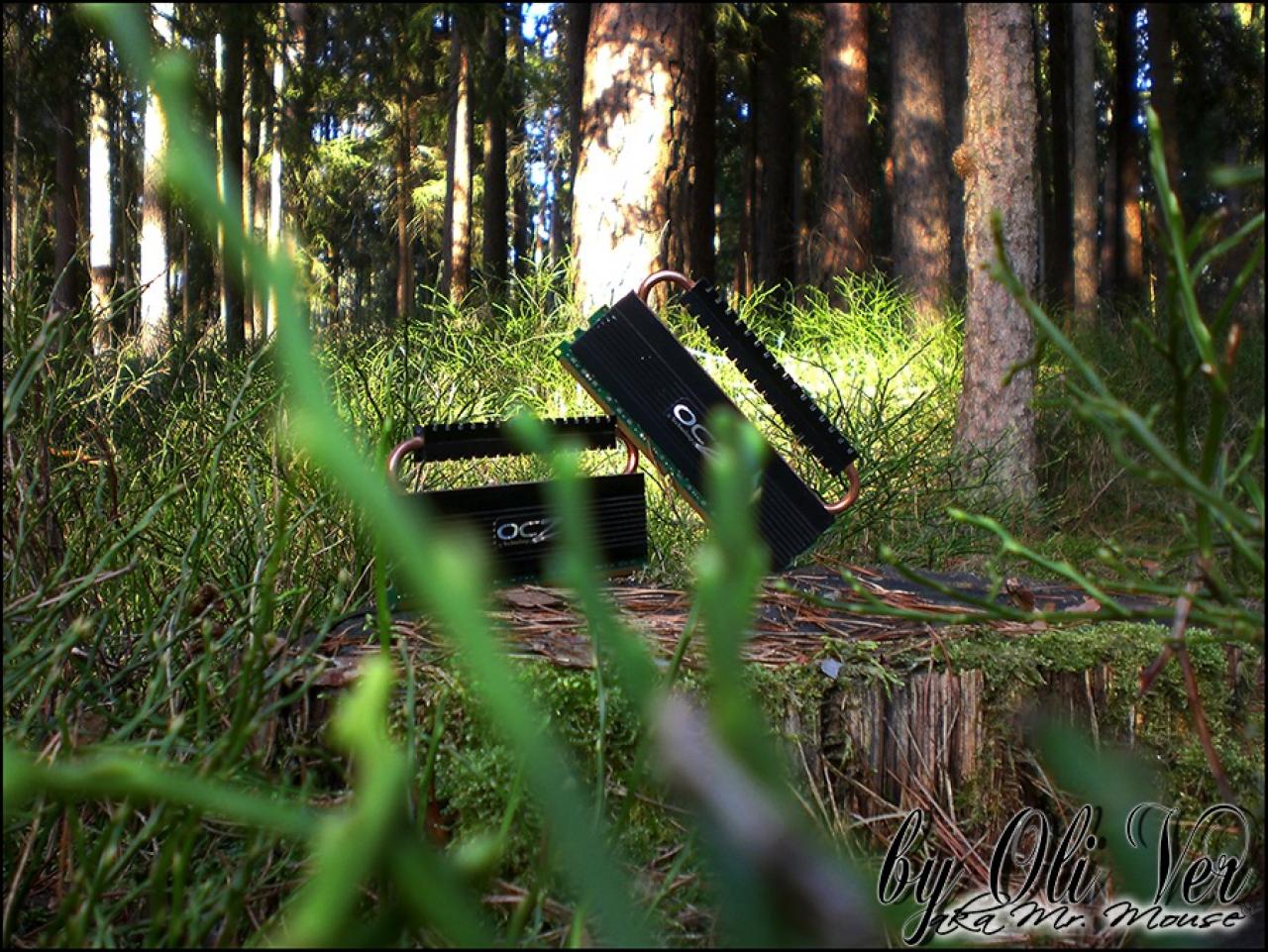 [17/10/2011] RAM by mrmouse