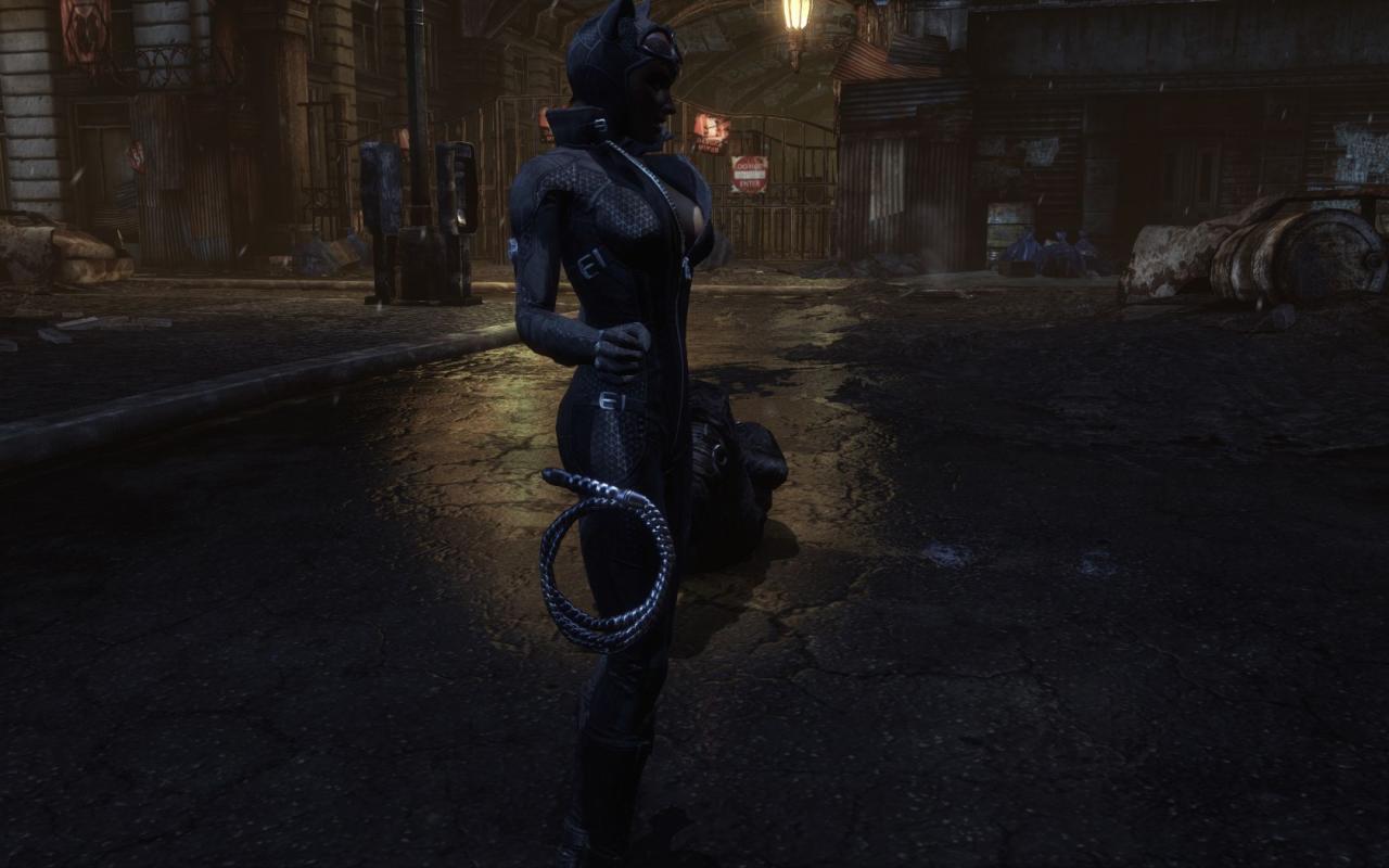 [26/11/2011] Arkham City by Angelus Errare