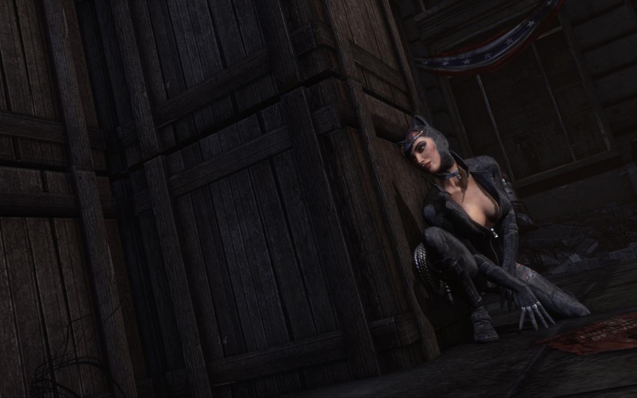 [26/11/2011] Arkham City by Angelus Errare