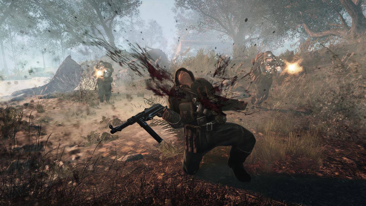 [18/11/2011] Enemy Front: Exklusive interview on topics like Cryengine 3, level-design, atmosphere and swastikas.
