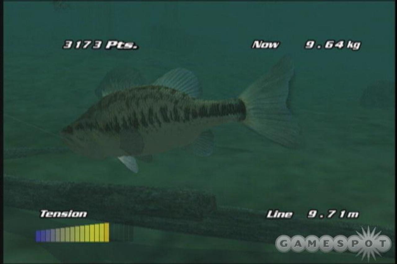 [17/11/2011] Platz 31: Pro Cast Sports Fishing 