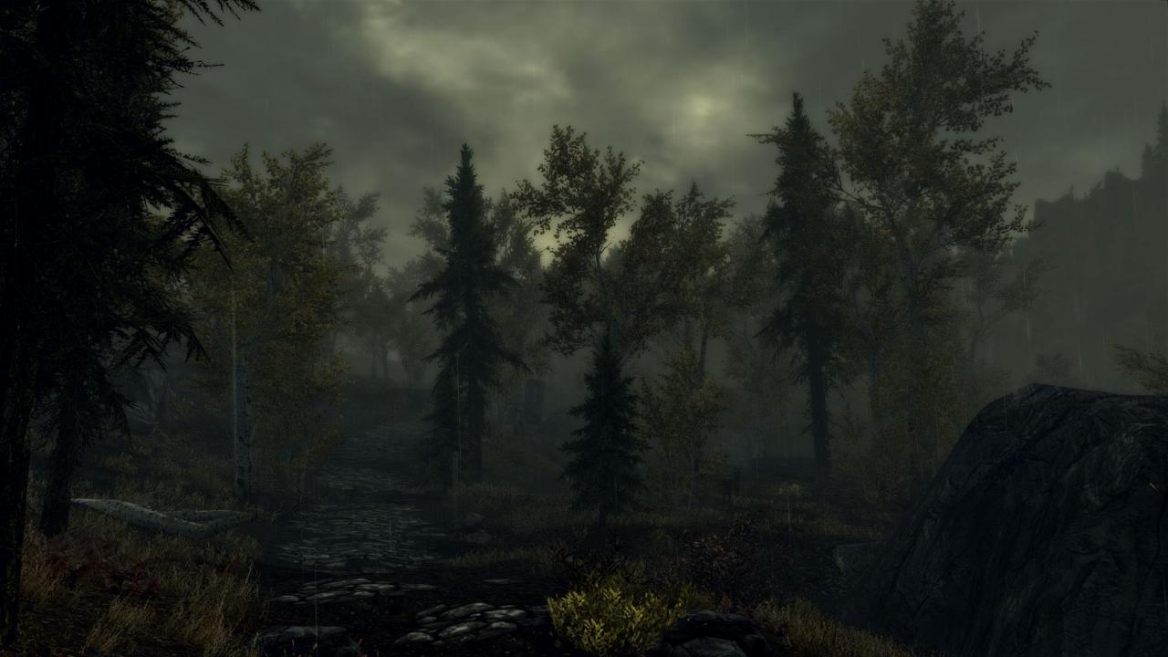 [17/11/2011] Skyrim mit einem der vielen FXAA Injector Mods (1)