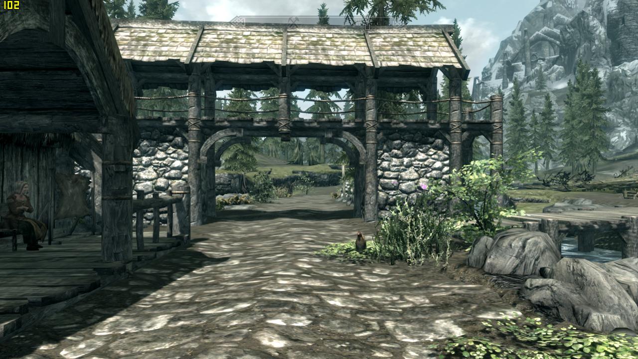 Skyrim: Mittlere Grafikdetails (Medium)