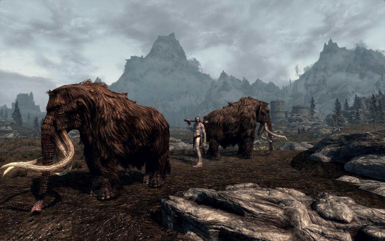 [27/11/2011] Skyrim by BlackF0g (1)