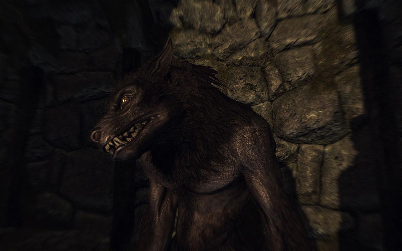 [27/11/2011] Skyrim by BlackF0g (3)