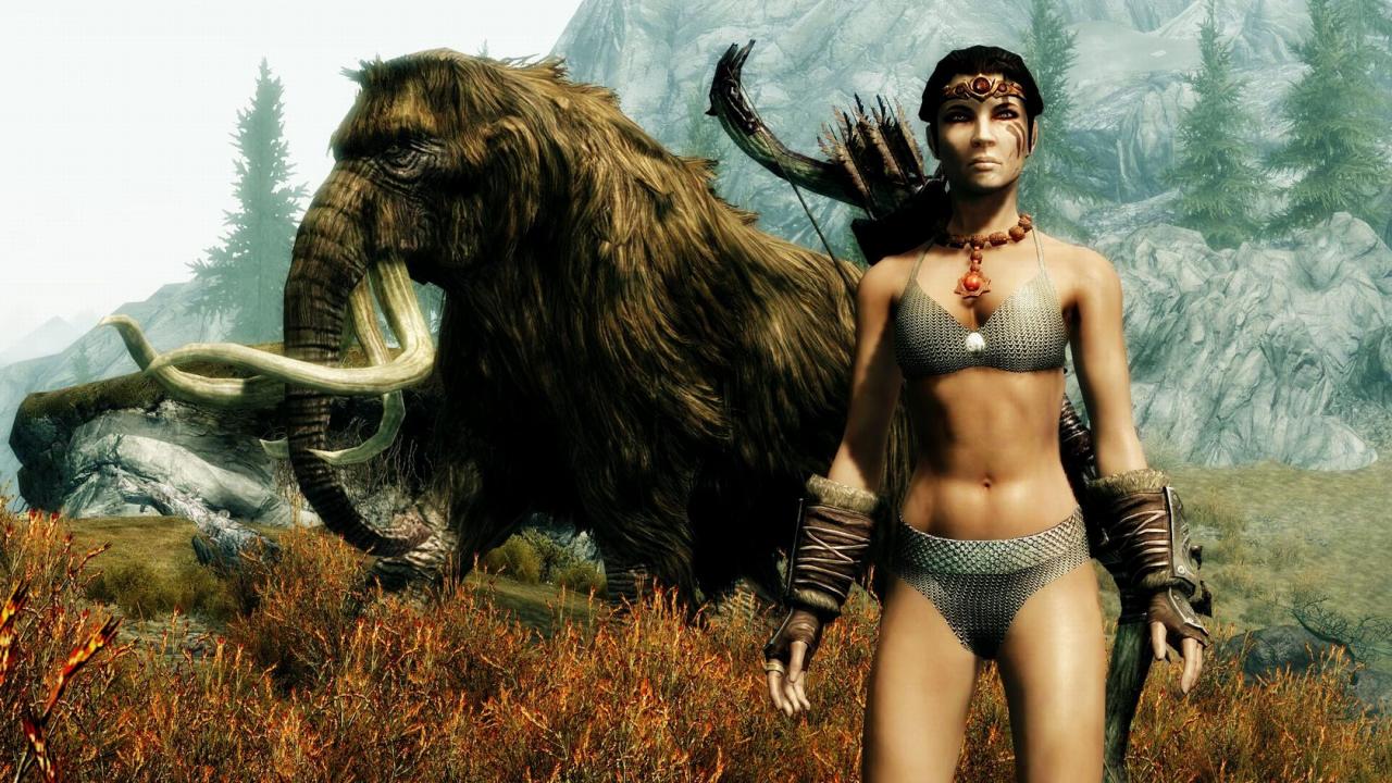 [14/11/2011] Elder Scrolls Skyrim
