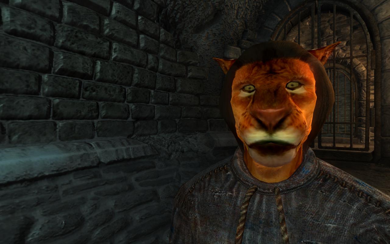 [10/11/2011] The Elders Scrolls als Technik-Historie: Von Morrowind über Oblivion bis Skyrim (1)