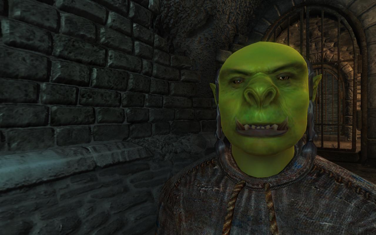 [10/11/2011] The Elders Scrolls als Technik-Historie: Von Morrowind über Oblivion bis Skyrim (3)