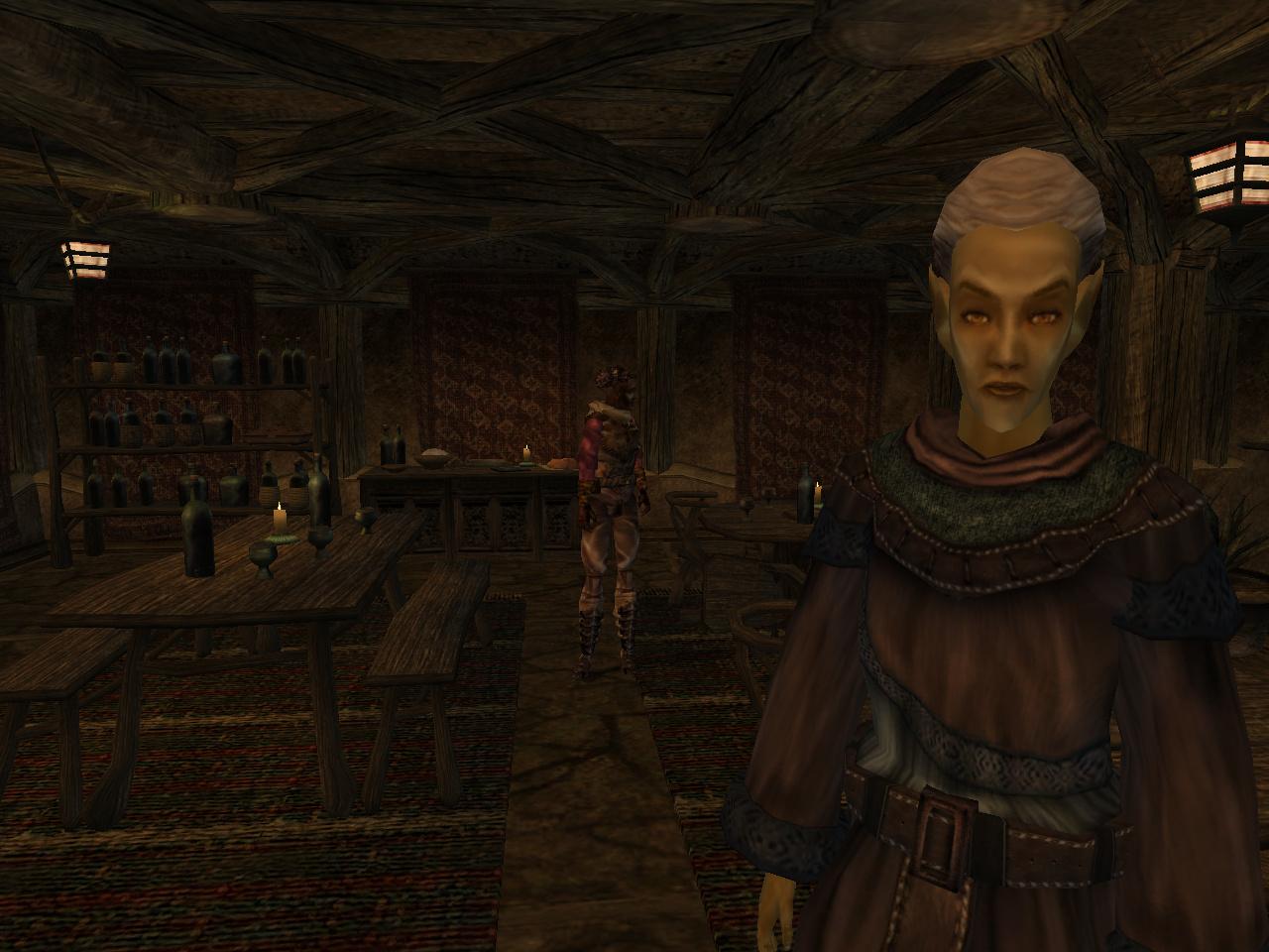 [10/11/2011] The Elders Scrolls als Technik-Historie: Morrowind