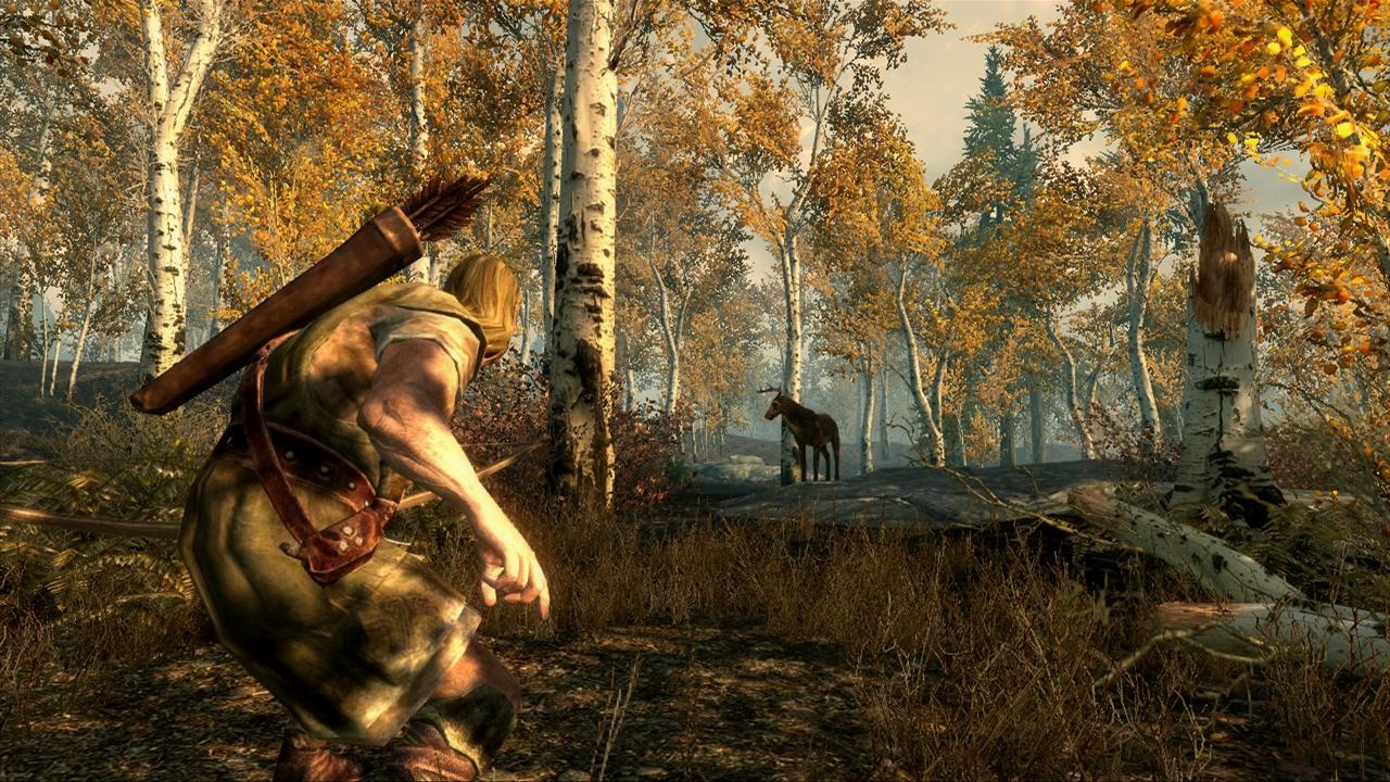 [10/11/2011] The Elders Scrolls als Technik-Historie: Skyrim
