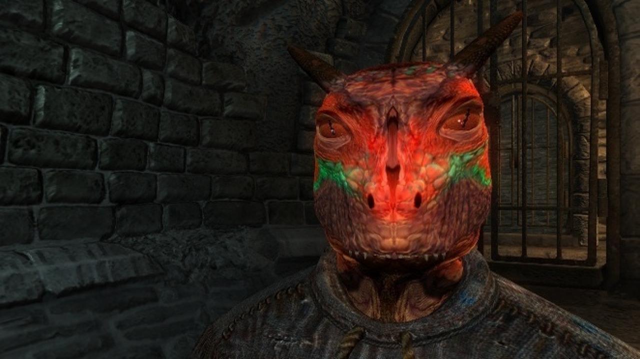 [10/11/2011] The Elders Scrolls als Technik-Historie: Oblivion