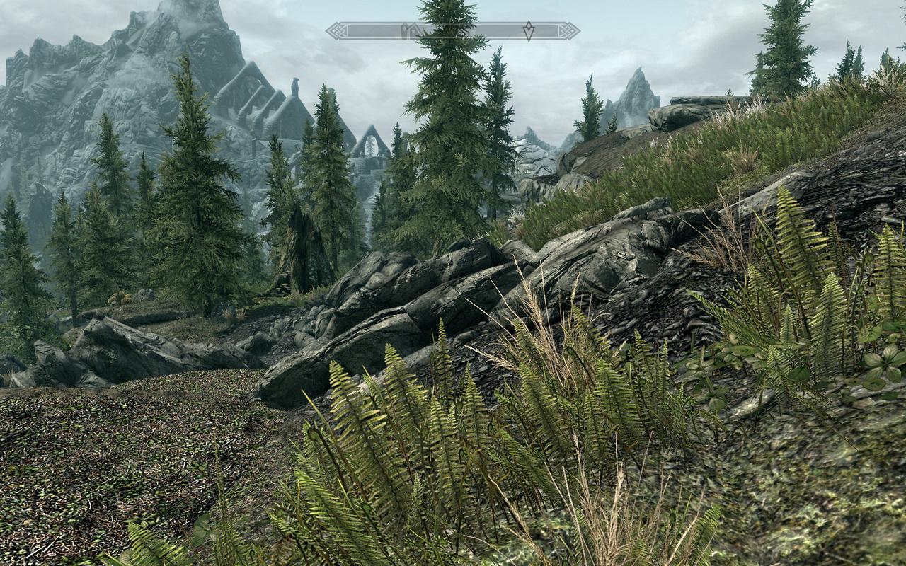 [10/11/2011] The Elder Scrolls 5 Skyrim: Tuning-Tipps für Ambient Occlusion, bessere Schatten und Wasser, reduzierter Maus-Lag sowie Kantenglättung (5)