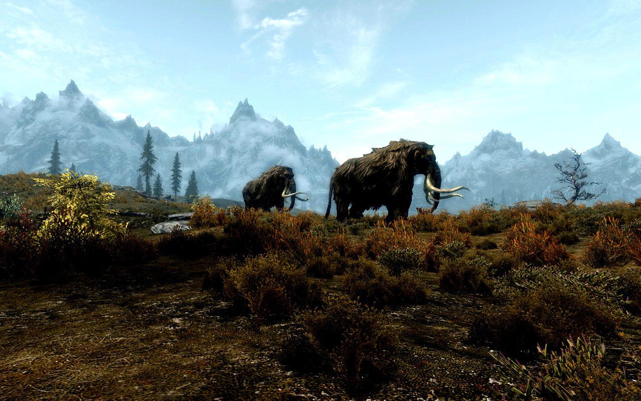 [13/11/2011] The Elder Scrolls V: Skryim - das erste von Lucid Dynamix unterstützte Spiel (25)