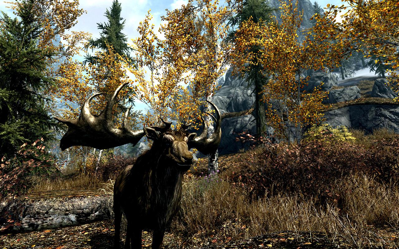 [13/11/2011] The Elder Scrolls V: Skryim - das erste von Lucid Dynamix unterstützte Spiel (32)