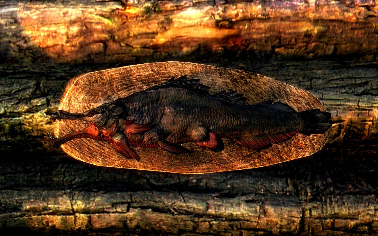 [13/11/2011] The Elder Scrolls V: Skryim - das erste von Lucid Dynamix unterstützte Spiel (46)