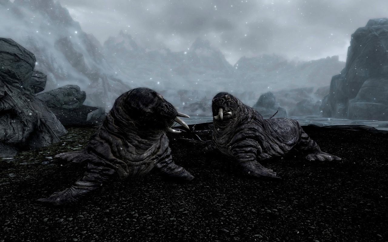 [13/11/2011] The Elder Scrolls V: Skryim - das erste von Lucid Dynamix unterstützte Spiel (54)