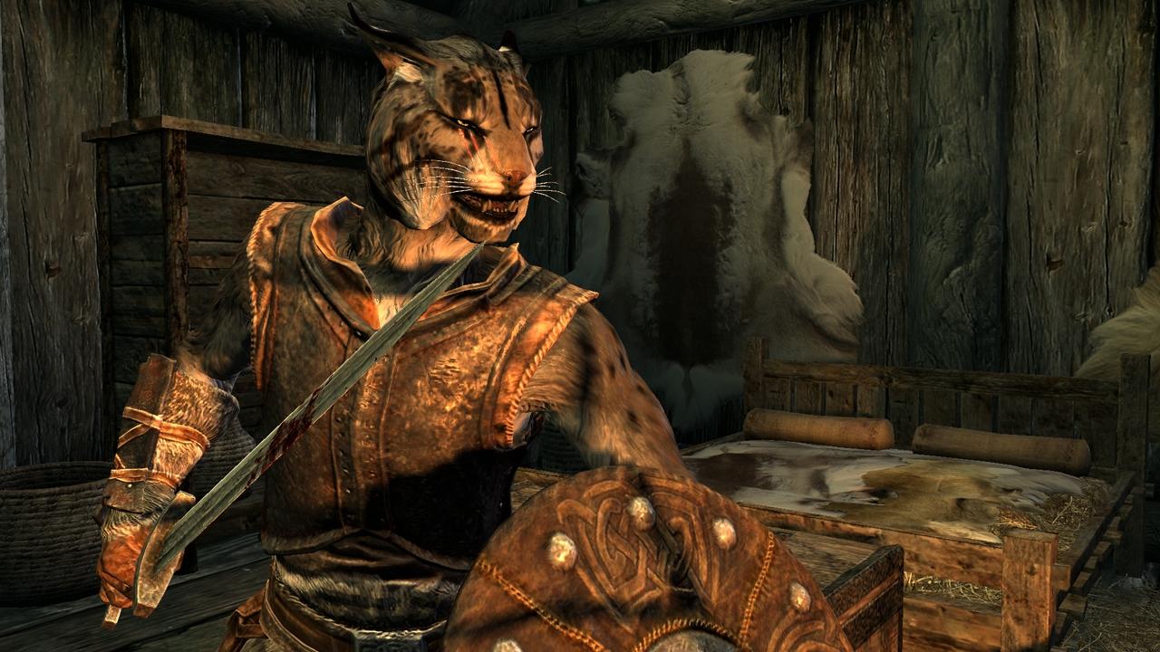 [08/11/2011] The Elder Scrolls 5 Skyrim: Alle Informationen zu Technik, Gameplay, Rassen und mehr (40)