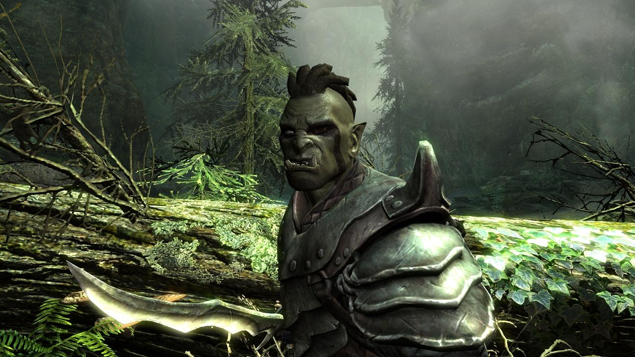 [08/11/2011] The Elder Scrolls 5 Skyrim: Alle Informationen zu Technik, Gameplay, Rassen und mehr (41)