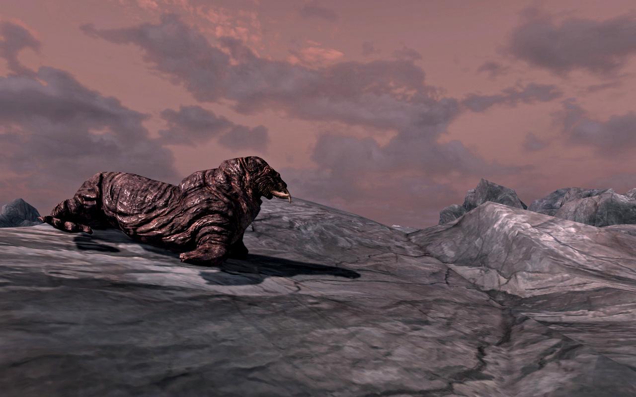[14/11/2011] The Elder Scrolls V: Skryim - das erste von Lucid Dynamix unterstützte Spiel (5)