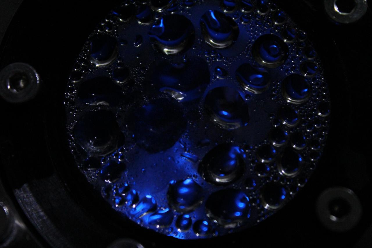 [18/11/2011] Neues Update vom 18.11.: 500 Liter Wasser meets 2-Meter-Tropenwurzel (15)