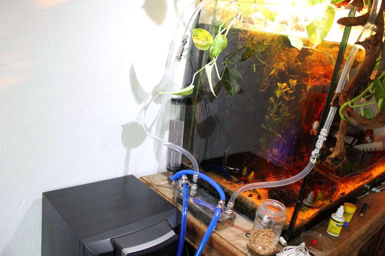 [11/11/2011] PC-Kühlung mal anders: 500 Liter Wasser und 2-Meter-Tropenwurzel (32)