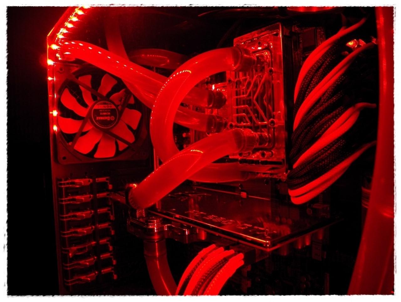 [20/12/2011] Neue Wakübilder aus der Community vom 20.12.2011 (38)