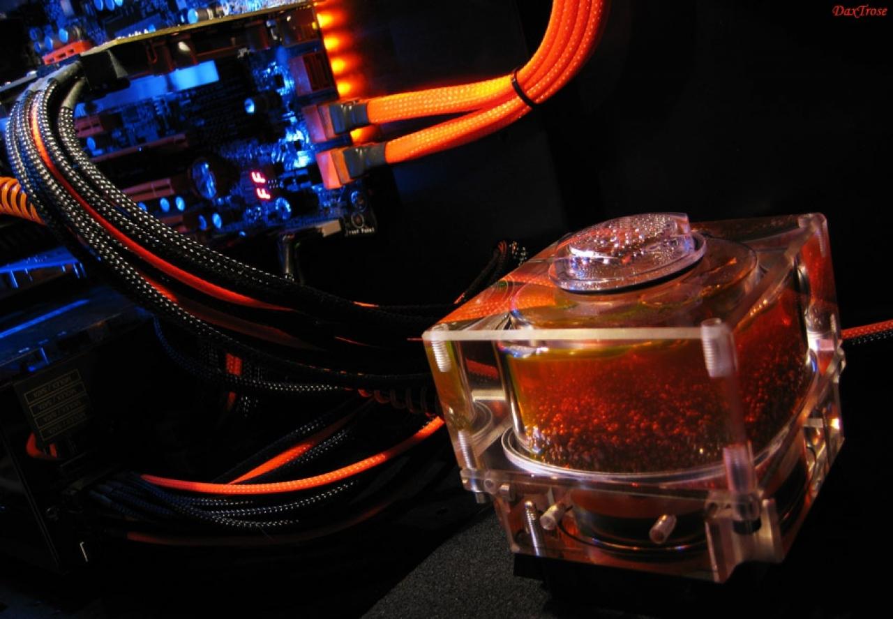 [20/12/2011] Neue Wakübilder aus der Community vom 20.12.2011 (60)