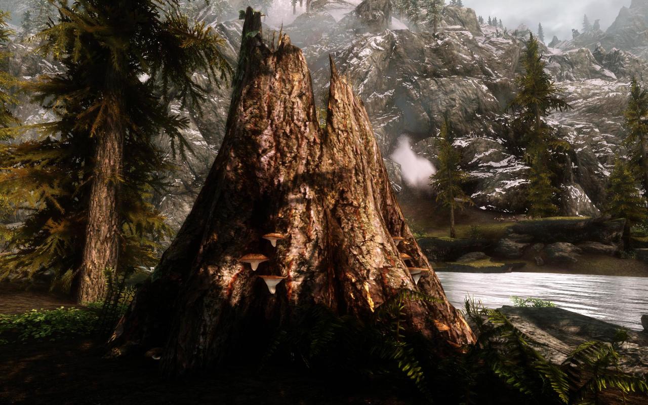 [28/12/2011] ENB-Setting sorgt für Gänsehaut in Skyrim, Counter-Strike Global Offensive präsentiert de_dust 2 (5)